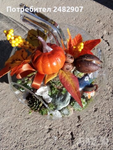 Сукуленти в стъкло, снимка 6 - Декорация за дома - 38360323
