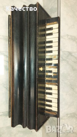 Френски акордеон , снимка 1