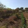 Продавам обработваемо място, снимка 5