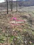 Продавам парцел в село Воден общ.Димитровград, снимка 1