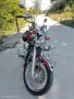 Kawasaki VN15 1995, снимка 7