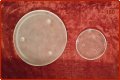 Две малки чинии за малки микровълнови фурни, снимка 1 - Съдове за готвене - 29617641