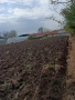 празен парцел в село Ястребово , снимка 2