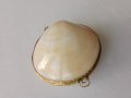 Кутия за бижута - протмоне от естествена мида, снимка 2