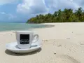 Италианско премиум кафе на зърна Caffe Saccaria Cremacaffè, снимка 7