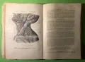 Стара Книга Анатомия ма Човека /Rauber Kopsch, снимка 14