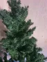 Коледна елха 169 см., снимка 3