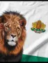 Мъжки спортни тениски 🇧🇬 БЪЛГАРИЯ 🇧🇬, снимка 5