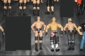 32 Кеч Фигури Lita/Lana/Test/D-Von Dudley/Samoa Joe/The Undertaker/Shane Douglas/The Miz/Seth Rollin, снимка 9