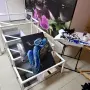 Картина змия на дърво, снимка 5