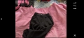 Alexander wang екип, снимка 5