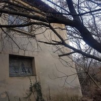 Къща с двор в с. Оряхово, община Любимец, снимка 2 - Къщи - 32107484