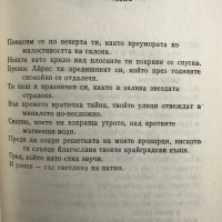 Хорхе Луис Борхес - За ада и за рая, снимка 4 - Художествена литература - 29137685