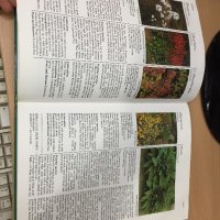 Цветна Енциклопедия - A-Z of perennials -Successful Gardening, снимка 9 - Енциклопедии, справочници - 30873235