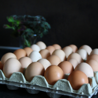 Домашни Яйца 15лв кора, снимка 7 - други­ - 36397255
