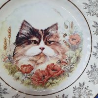 Колекционерски чинии за стена с котки , снимка 2 - Декорация за дома - 39749553