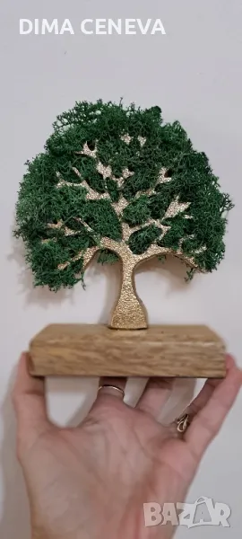 Дърво със скандинавски мъх , снимка 1