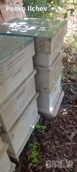 Пчелни кошери, снимка 1