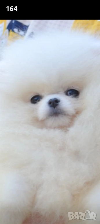 Купувам мъжко над 15 месеца ., снимка 1