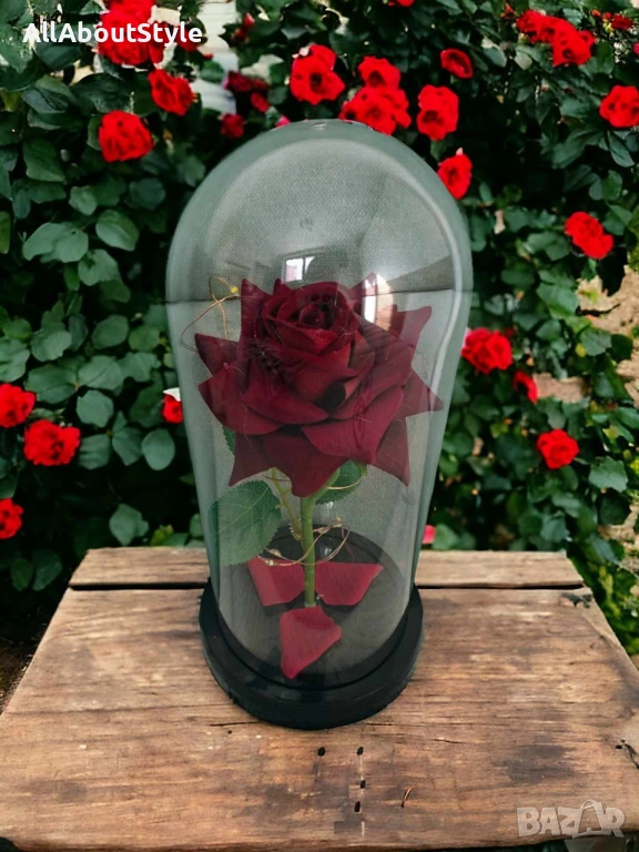 Красива осветена роза в стъкленица с красива подаръчна кутия, снимка 1