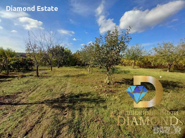 Двуетажна къща в село Хлябово, общ. Тополовград, снимка 7 - Къщи - 52153825