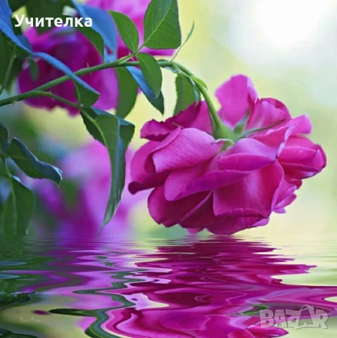 Уроци по математика, Пловдив, център, снимка 1