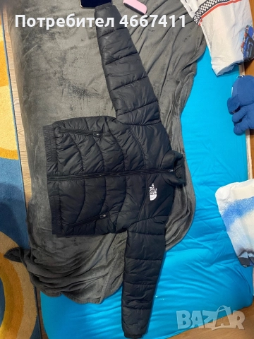 The north face , снимка 5 - Якета - 52661427