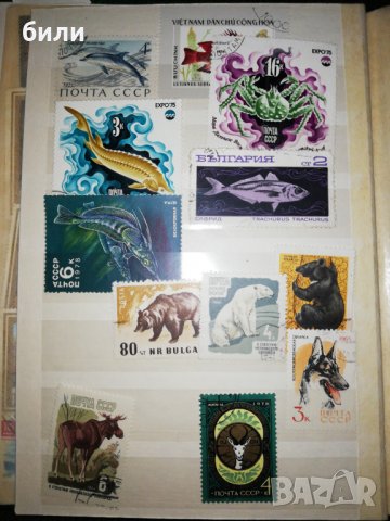 Колекция пощенски марки , снимка 6 - Филателия - 29386589