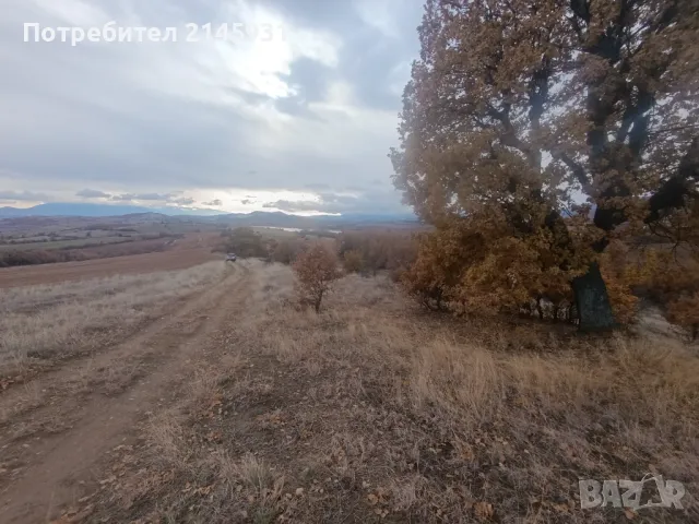 Зеделеска земя в землището на село Логодаж, снимка 4 - Земеделска земя - 48185867