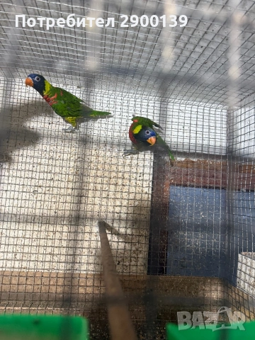 2 Лори може бартер