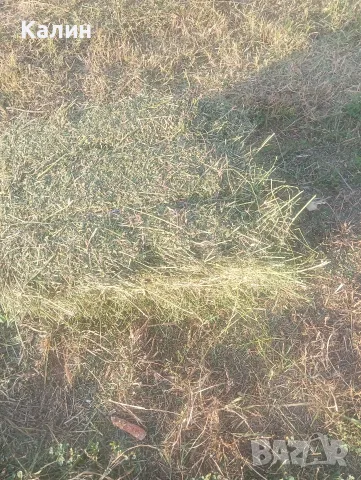 продавам Бали сено цена 2,50 е,бали слама,рола царевичак