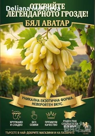 💥  Бял Аватар 💥