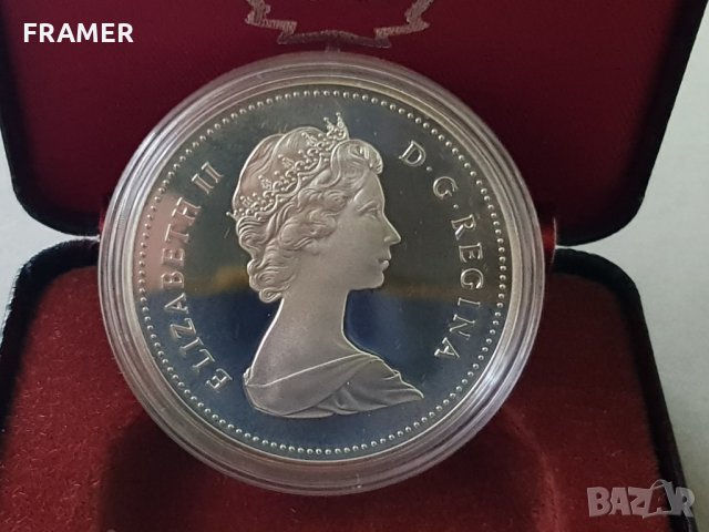 1 сребърен долар 1981 година Канада Елизабет II сребро в ТОП качество, снимка 5 - Нумизматика и бонистика - 35285151