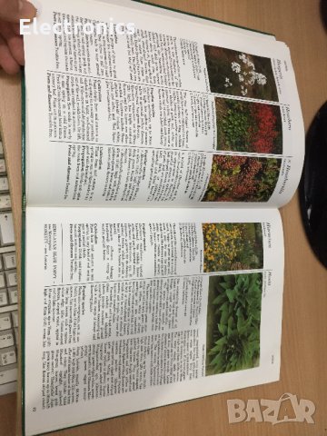 Цветна Енциклопедия - A-Z of perennials -Successful Gardening, снимка 9 - Енциклопедии, справочници - 30873235