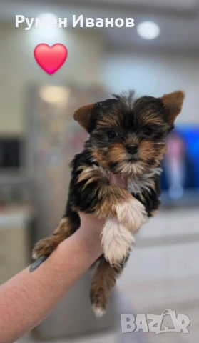 Съкровища малки