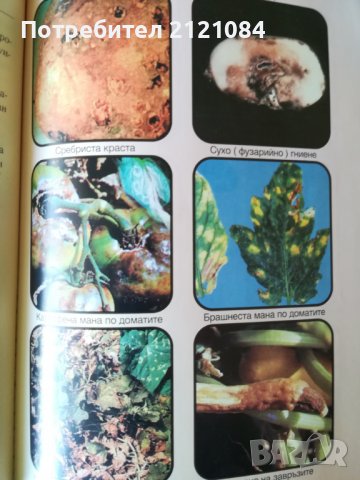 Растително - защитен календар / Васил Малинов, снимка 2 - Специализирана литература - 38725537