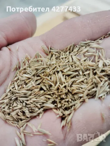 Тревна смеска за овощни градини и лозя GORCA 10 кг., снимка 2 - Сортови семена и луковици - 50273725