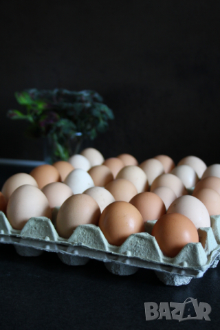 Домашни Яйца 0.50ст./бр, снимка 7 - други­ - 36397255