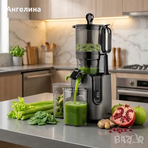 Сокоизстисквачка бавнооборотна Diplomat DSJ25 Vita Master, 250W, 130mm, снимка 8 - Сокоизстисквачки и цитрус преси - 56116203