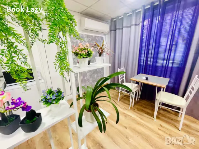 Central Studio 21, снимка 3 - Почивки на море - 49464410