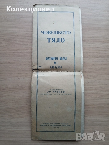 Анатомичен модел, фотоиздателство "Георги Пасков" 