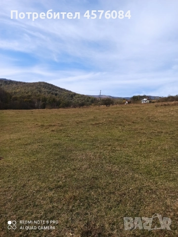 Продавам имот гр. Берковица, снимка 4 - Парцели - 51493587