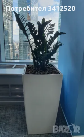 Кашпо белого цвета , снимка 6 - Саксии и кашпи - 50002006