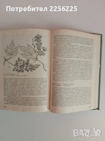 Културните растения, снимка 5 - Специализирана литература - 51124615