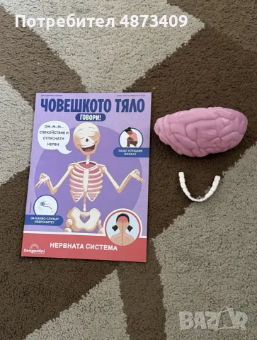 ,,Човешкото тяло говори”, снимка 4 - Образователни игри - 56545158