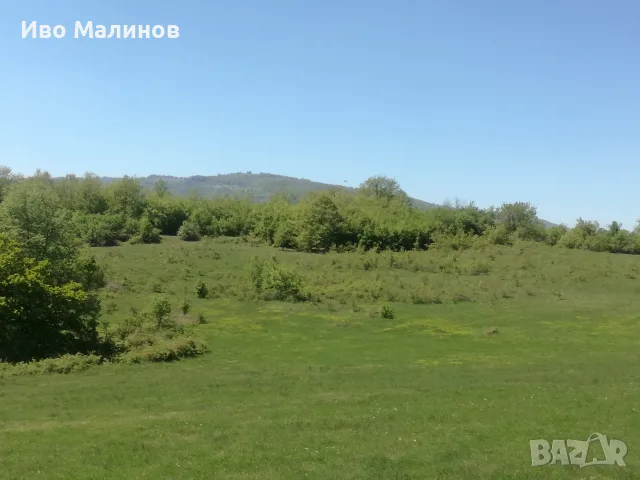 продавам два имота в село Лакатник , снимка 9 - Земеделска земя - 55769447