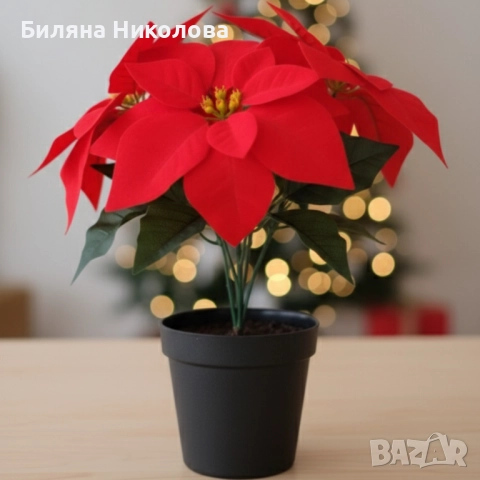 Вечна празнична Коледна звезда – реалистична украса, снимка 2 - Декорация за дома - 52467437