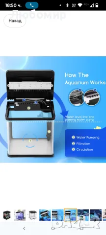 Nobleza - Нано аквариум с аквариум с LED светлини и филтърна система, тропически аквариуми , снимка 8 - Аквариуми - 49784964