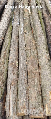 Дървени колове за ограда -здрави,сухи от акация с различни дължини