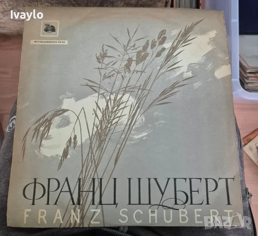 Плочи за грамофон  Грамофонни плочи, снимка 11 - Грамофонни плочи - 56433550